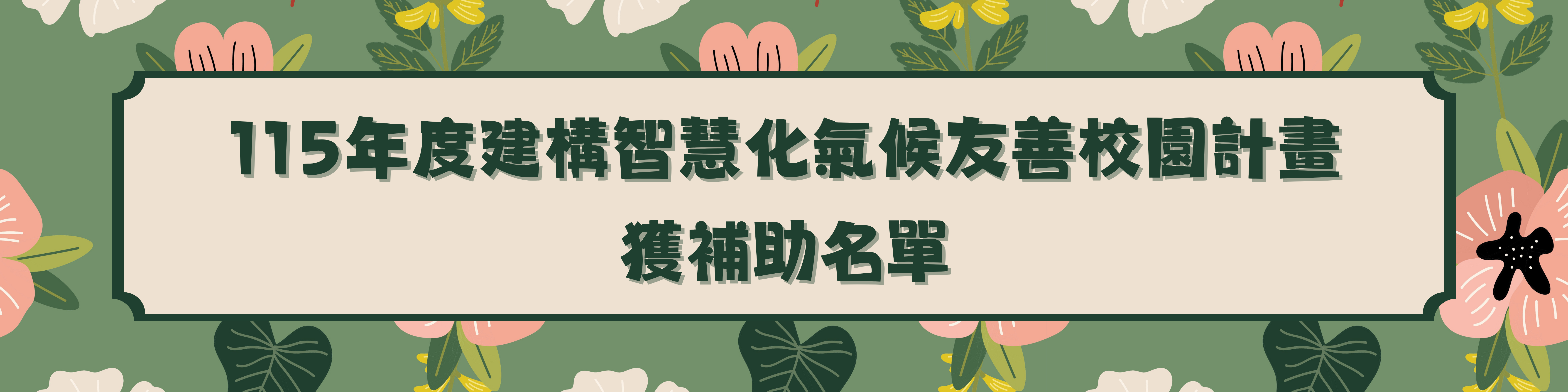 115年度計畫補助名單