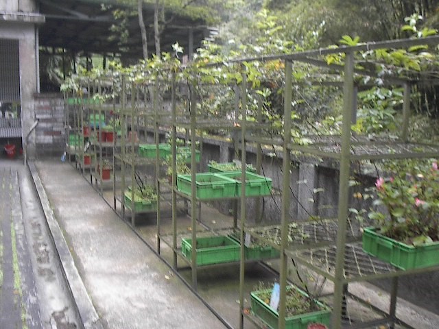 /001/Upload/568/relpic/13271/13744/e74d912b-b8f6-4495-a7dd-386ff4901836.jpg