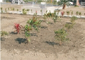 /001/Upload/568/relpic/13271/16719/aaf4c757-a5de-4dc4-996e-5c87aeef91fb.jpg