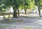 /001/Upload/568/relpic/13271/16720/bc86f7ed-7d70-459e-afb0-dfa6bfc205d8.jpg