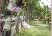 /001/Upload/568/relpic/13271/16723/5cc0d7d6-0832-4936-893f-7097eefebd1e.jpg