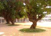 /001/Upload/568/relpic/13271/16728/f8670b2a-4c65-42d5-b5a4-2bba7ceffd4c.jpg