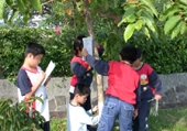 /001/Upload/568/relpic/13271/16752/1ea160e6-dbfc-45ef-8004-751e85d8b23a.jpg