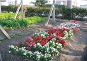 /001/Upload/568/relpic/13271/16762/3f4cf836-fb62-49d7-aae2-c6e9ab058bcc.jpg