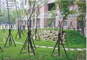 /001/Upload/568/relpic/13271/16772/b036065d-1d2f-4a10-ac3b-c10a0358afb0.jpg