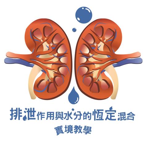 113-114-V12 排泄作用與水分的恆定混合實境教學